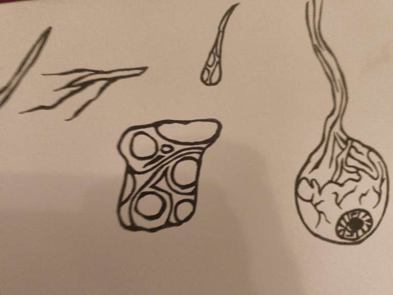 Pen drawing of an eye, some burned skin and other horrible things