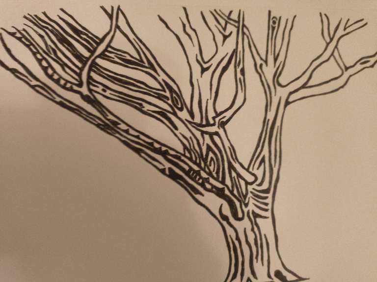 Pen drawing of a tree